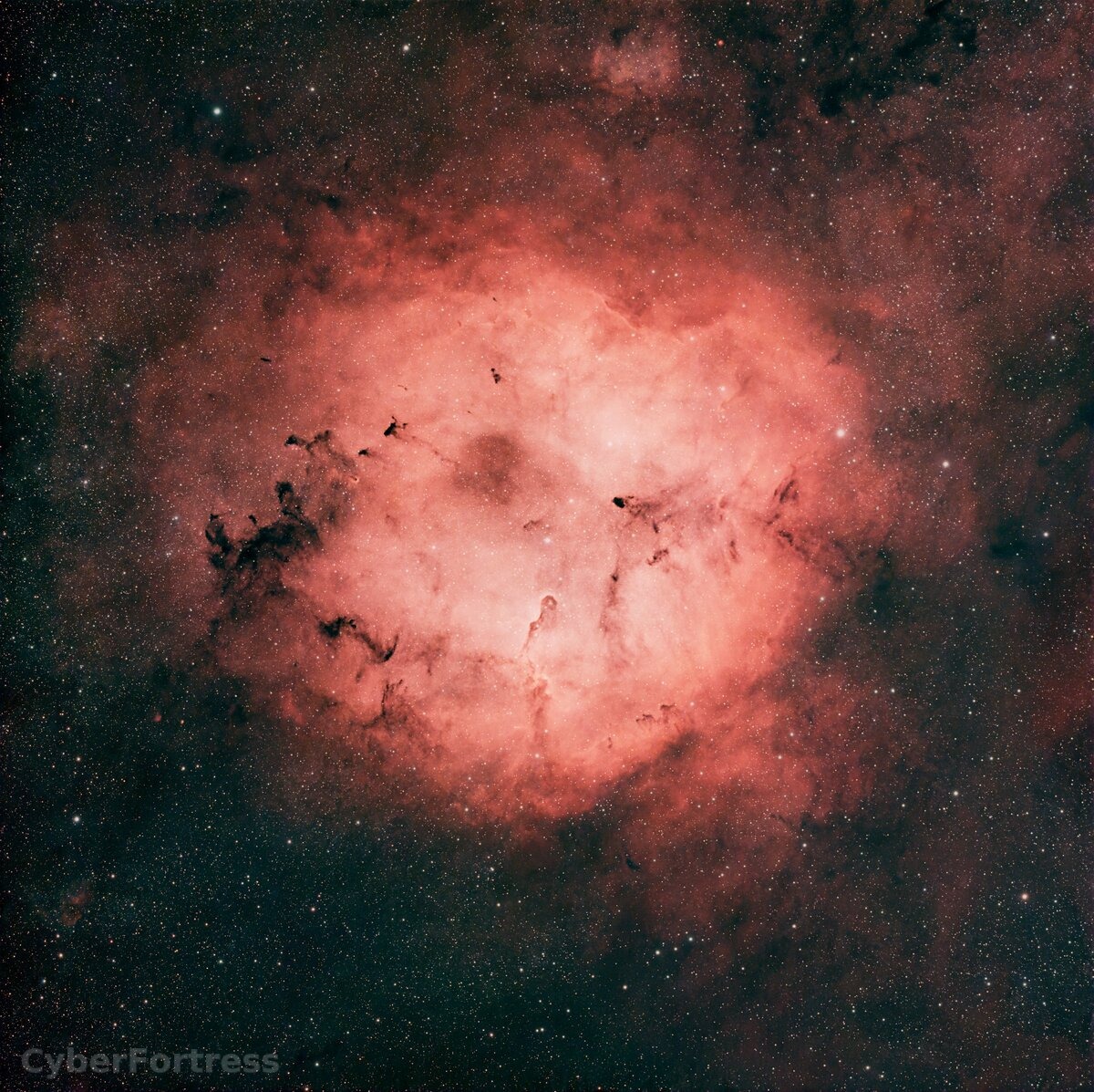 Elephant Trunk Nebula