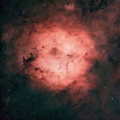 Elephant Trunk Nebula